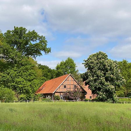 Ferienhaeuser Weitblick Gilten Eksteriør bilde