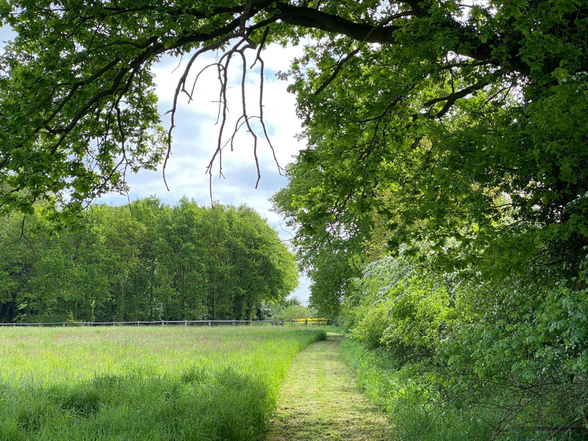Ferienhaeuser Weitblick Gilten Eksteriør bilde